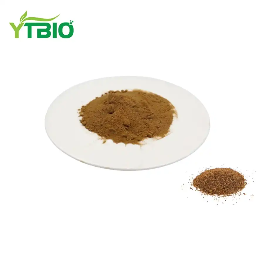 Dodder Seed Extract Powder